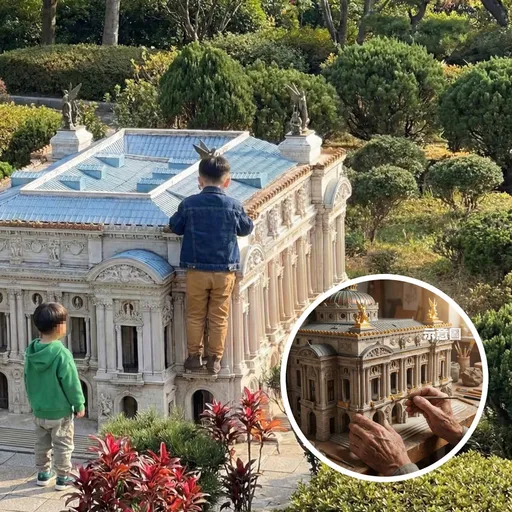 男童踩上模型！小人國勸導「能理解想當巨人」　網怒轟家長失職