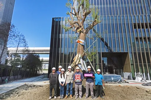 不捨80歲老樟樹被剷平！長虹建設跨城移植10噸巨木　南港建案留住城市綠意