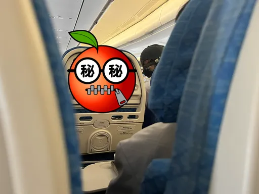 搭機「愛盯著1畫面」被嫌怪！一票人卻喊：比電影好看