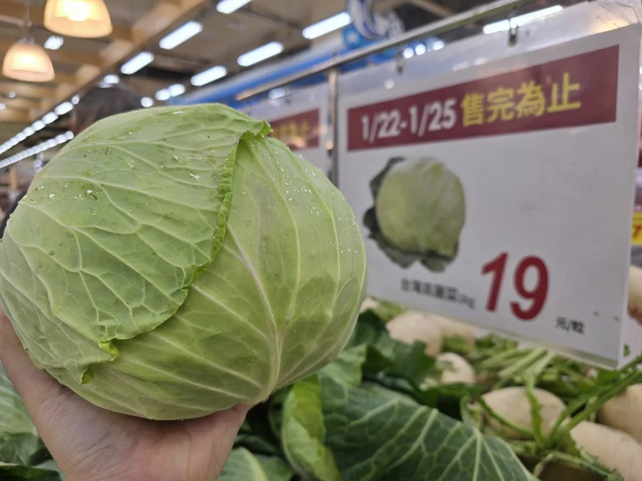 愛買量販限時高麗菜19元。業者提供