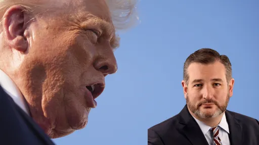 共和黨內訌！秘密錄音外洩　川普飆罵參議員這句「超髒的話」