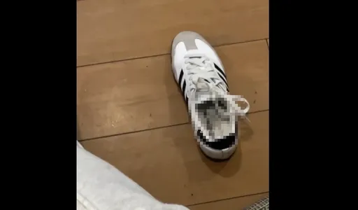 金變態！新臺馬輪上偷女乘客鞋「尻槍」　陸軍士官遭起訴