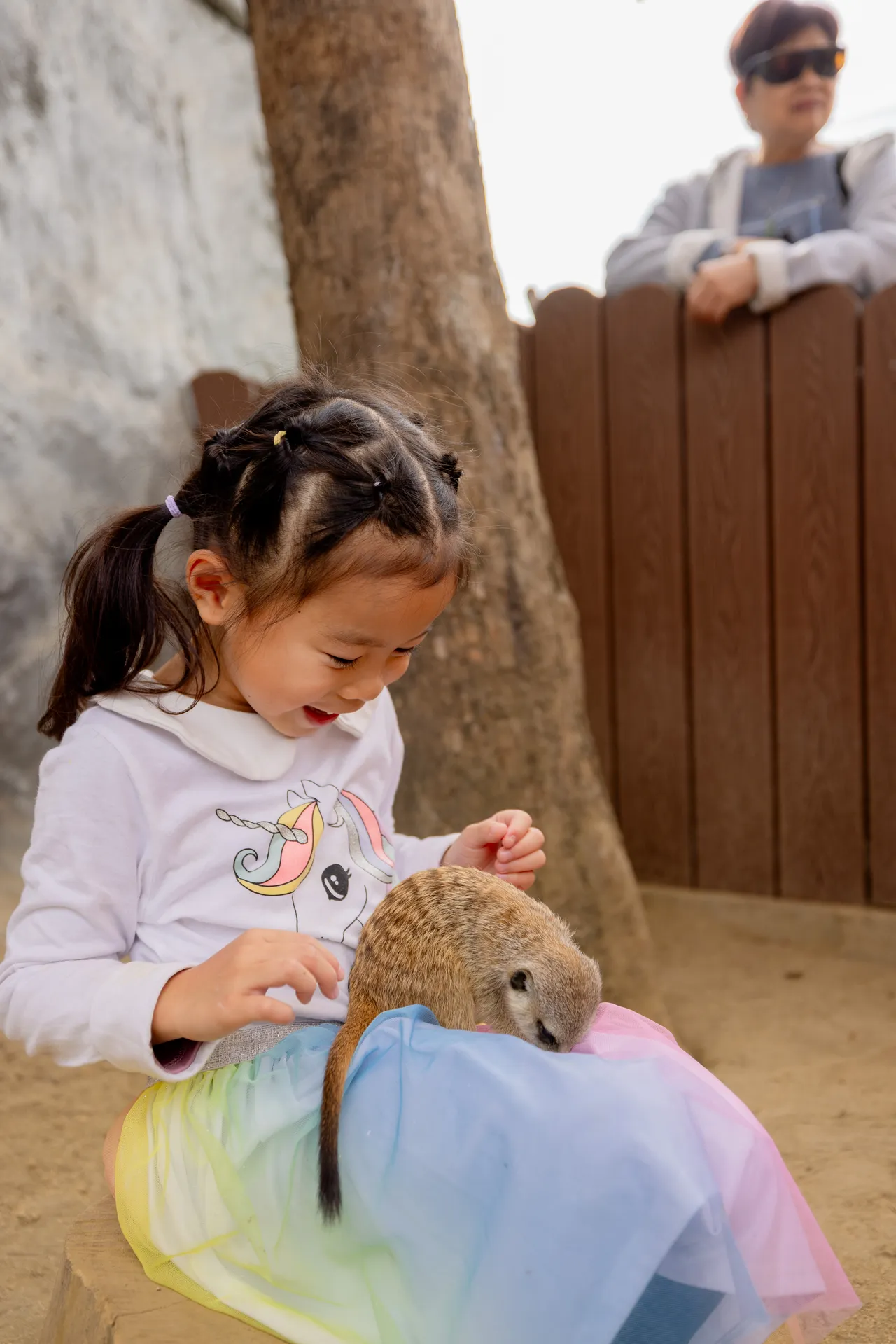 小朋友與狐獴互動。翻攝畫面