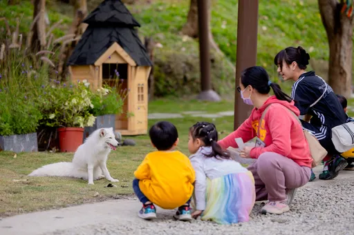 開園了！高雄內門「野森動物學校」 1 月 17 日展開試營運