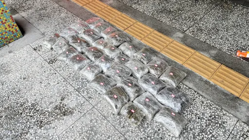 海邊撿到「毒」！野柳漁民驚見40多公斤大麻　市值破千萬