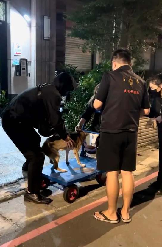 花數萬救老犬卻被黑，賓賓哥親揭真相反擊。翻攝賓賓哥臉書