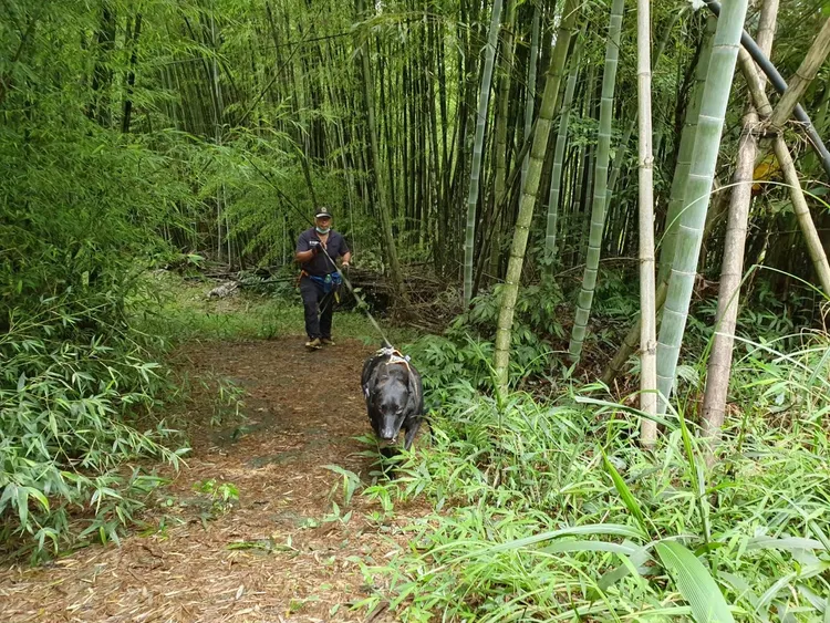 JACOB執行人命搜索。市府提供