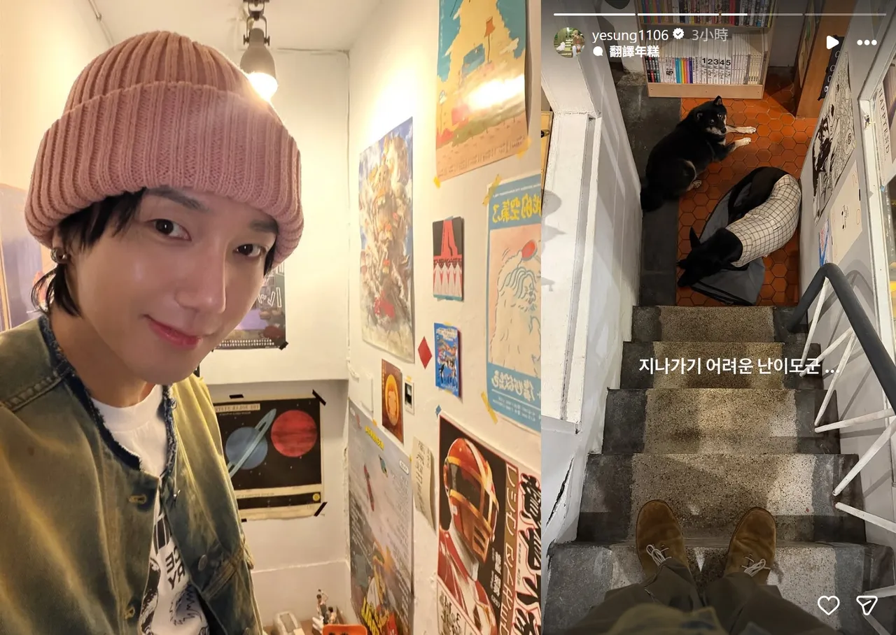 藝聲去逛老宅咖啡廳，被躺在樓梯間的店狗擋住去路。翻攝藝聲IG