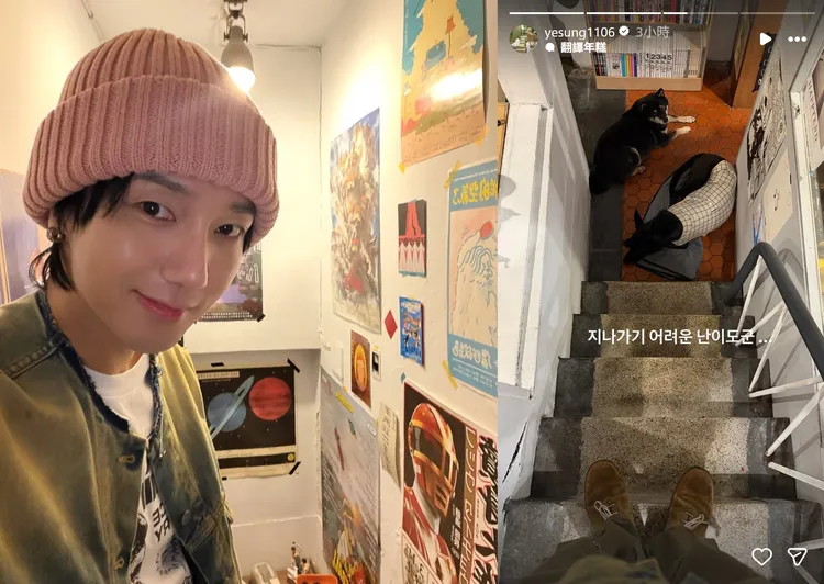 藝聲去逛老宅咖啡廳，被躺在樓梯間的店狗擋住去路。翻攝藝聲IG