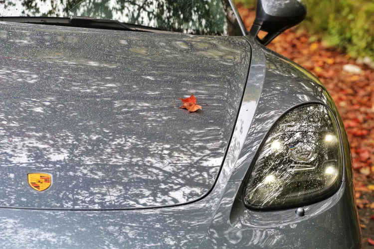 選配的LED頭燈不僅點亮保時捷經典四點式日行燈，還能隨車速與轉向自動調整光形。林浩昇攝