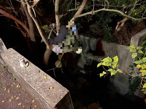 彰化女厨师离奇自撞...车卡路旁人喷飞倒挂路树　送医不治