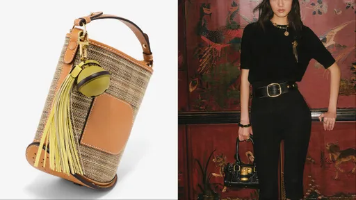 Delvaux把珍稀馬鬃毛織進Pin手袋　Chloé黑金鎖頭包低奢感十足