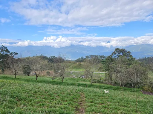 冷氣團發威　花蓮1千公尺以下低溫僅4.4度4人送醫OHCA