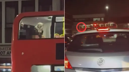 公車乘客活春宮沿途放送　民眾直擊：太瘋狂了