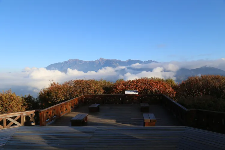 迎接馬年第一道曙光，先到榮獲金質獎特優的全台鐵路最高祝山車站觀賞日出，再步行大約10分鐘到360度無死角、視野更開闊的小笠原山迎日出破曉的美景。阿里山賓館提供