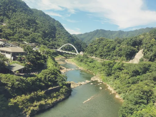 猴硐貓村恐「滅村」！里長提一計畫　網怒：把動物當搖錢樹