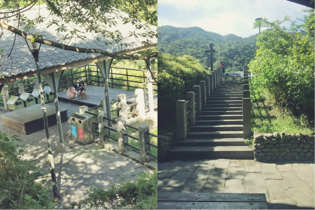 許多觀光客為了互動，拿著高鹽、高磷的「肉泥」零食瘋狂餵食，導致當地街貓普遍罹患嚴重腎衰竭。讀者提供