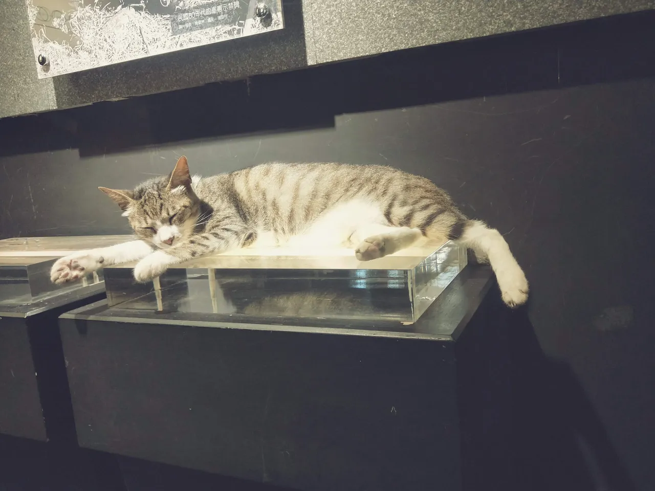 多數民眾建議，猴硐應正視貓口遞減的自然趨勢，藉此契機轉型為純粹的礦業文化遺產地。讀者提供