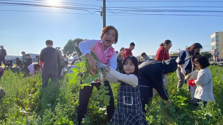 楊瓊瓔下田拔蘿蔔。民眾提供