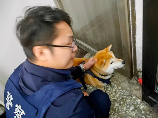 全家焦急找牠！柴犬溜出家竟逛起內湖大賣場　警暖心安置助平安回家