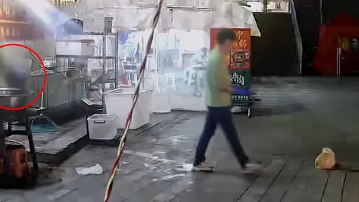 「流浪貓救了我一命！」　烤魚店老闆餵貓躲過員工天降花盆