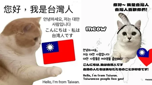 猫图「我台湾人」洗版过头！网酸丢脸、自卑　律师：引起反感