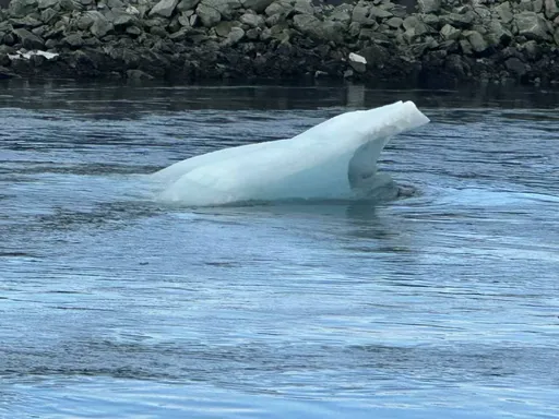 小寒来临　5星座暗爽荷包变厚