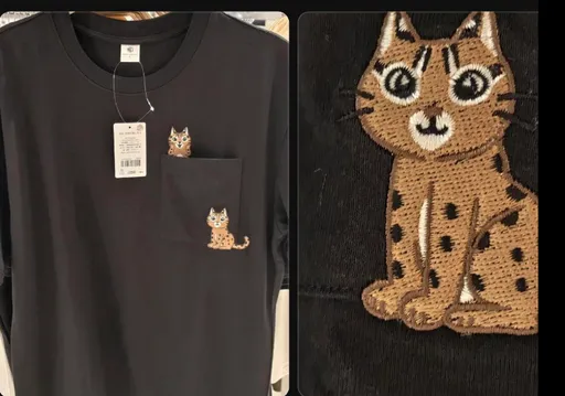 NET「石虎T恤」爆侵權抄襲　官方道歉即刻全面下架