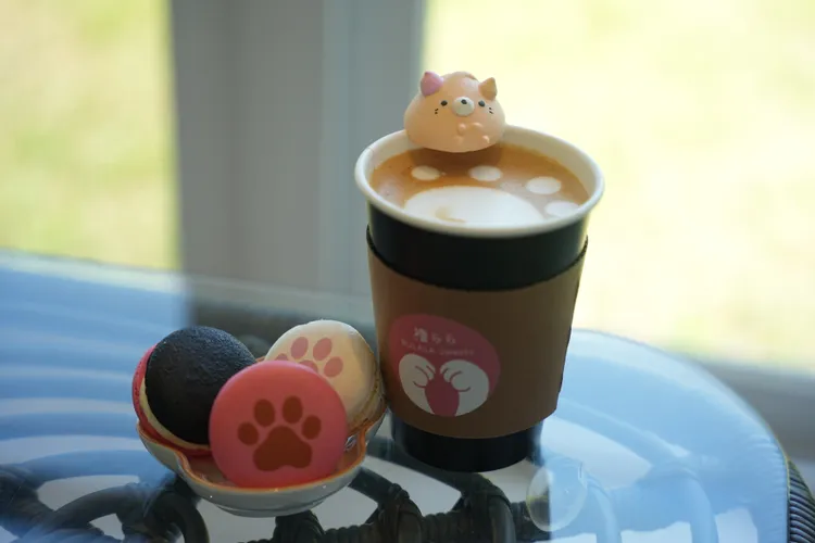 店內提供有咖啡飲品與可愛的甜點蛋糕等。S.H.攝