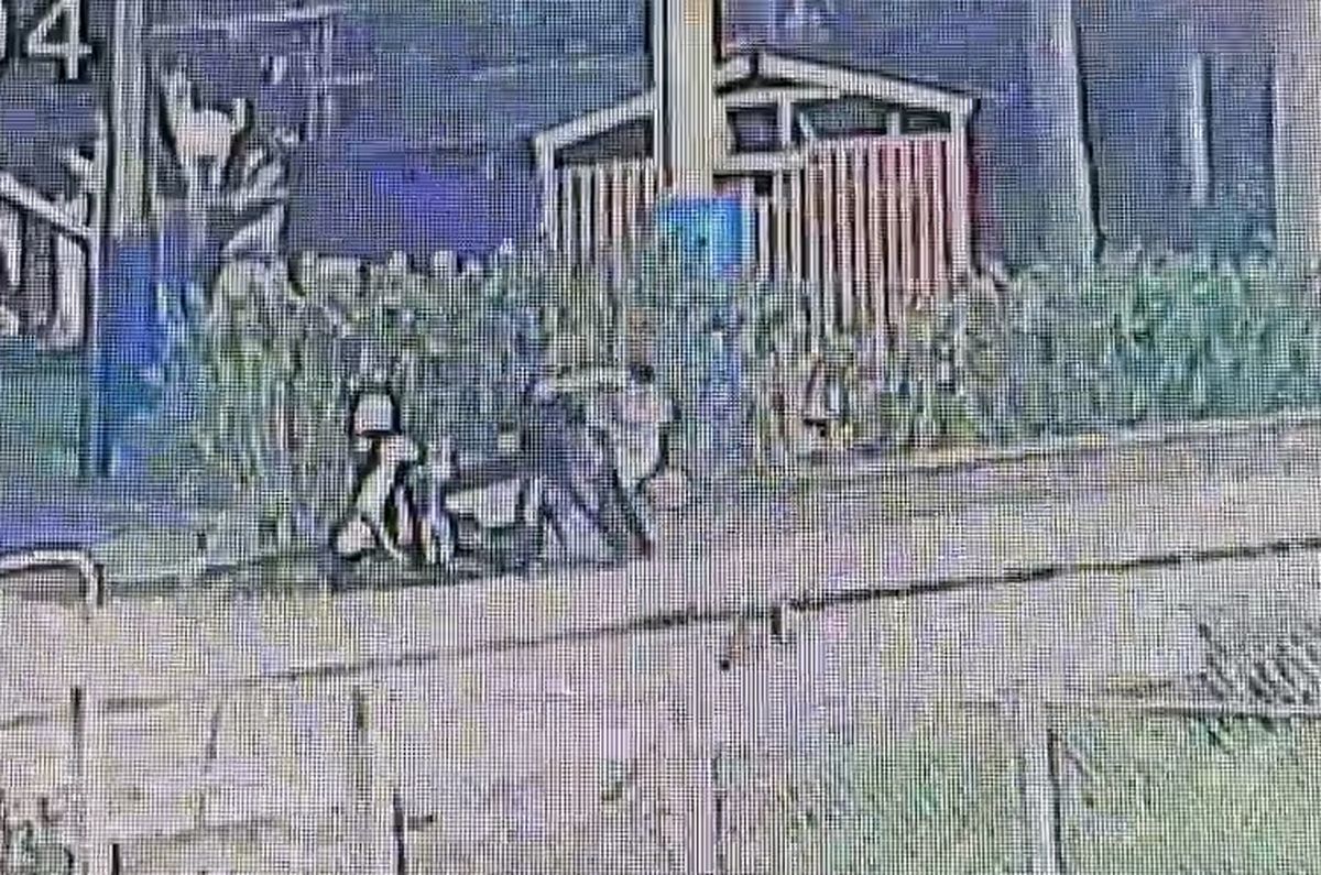 瘋砍土風舞女師畫面曝光!凶嫌逃國道被撞斷雙腿 身藏2把短刀