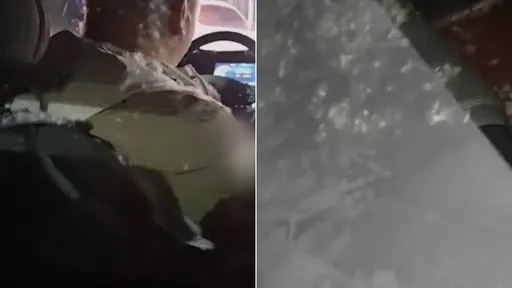 乘客一上车「羽绒服就爆炸」　运将傻眼：载了一朵蒲公英