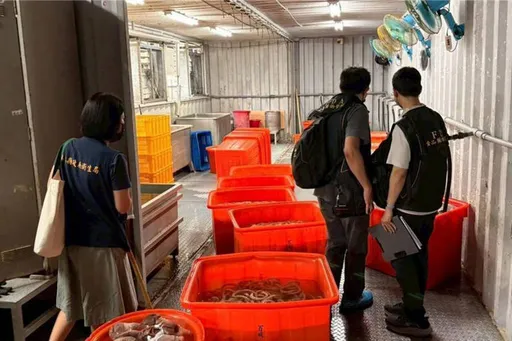 黑心！工業雙氧水漂白豬大腸2355公斤流入市面　百威食品負責人等3人起訴