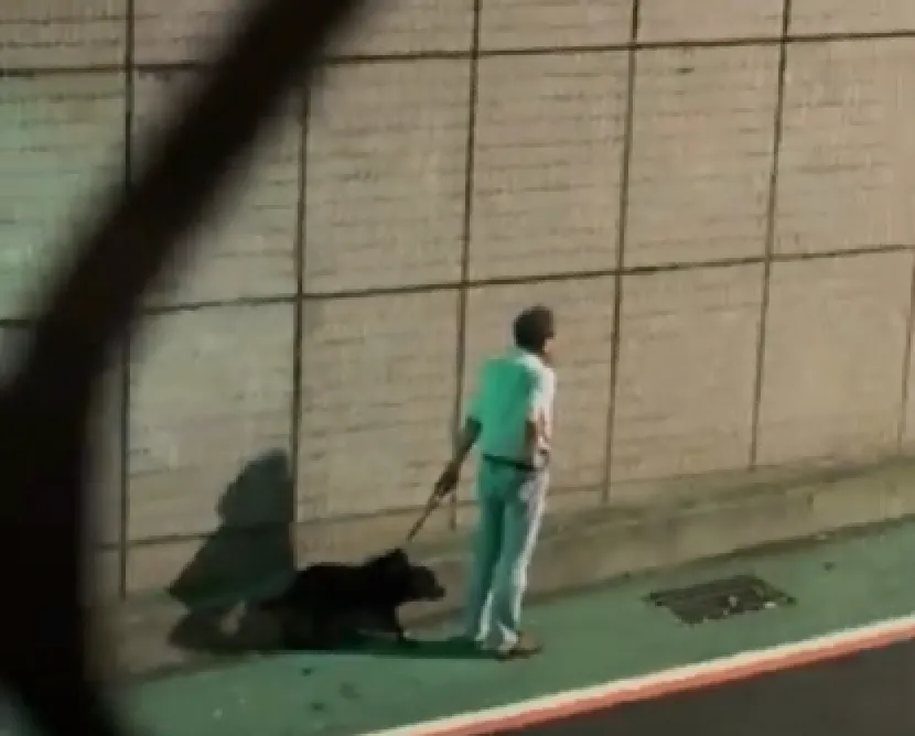 散步遭突袭！黄狗冲出家门扑咬酿2人1犬挂彩　动保处出手了