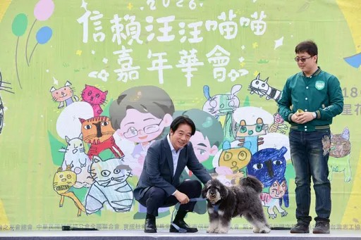 貓狗飼養突破340隻！賴清德：動物保護是社會文明程度指標