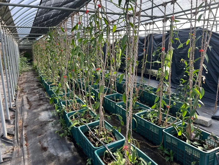 麗升能源深耕永續農業，持續推動農副產品高值化。業者提供