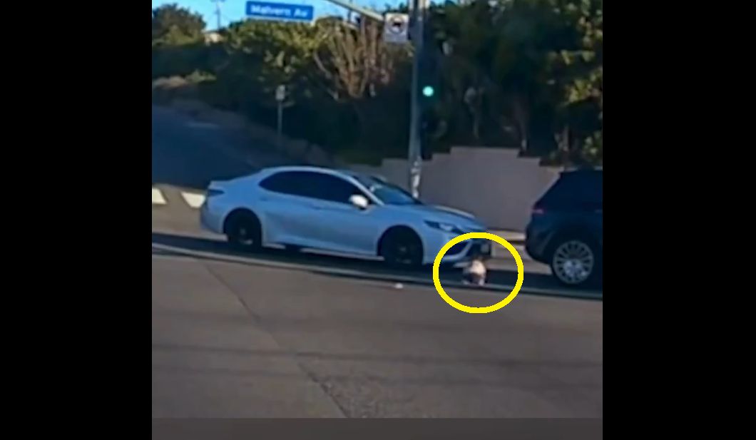 驚險有片!休旅車轉彎「幼童車內飛出」 後車只差幾公分輾過