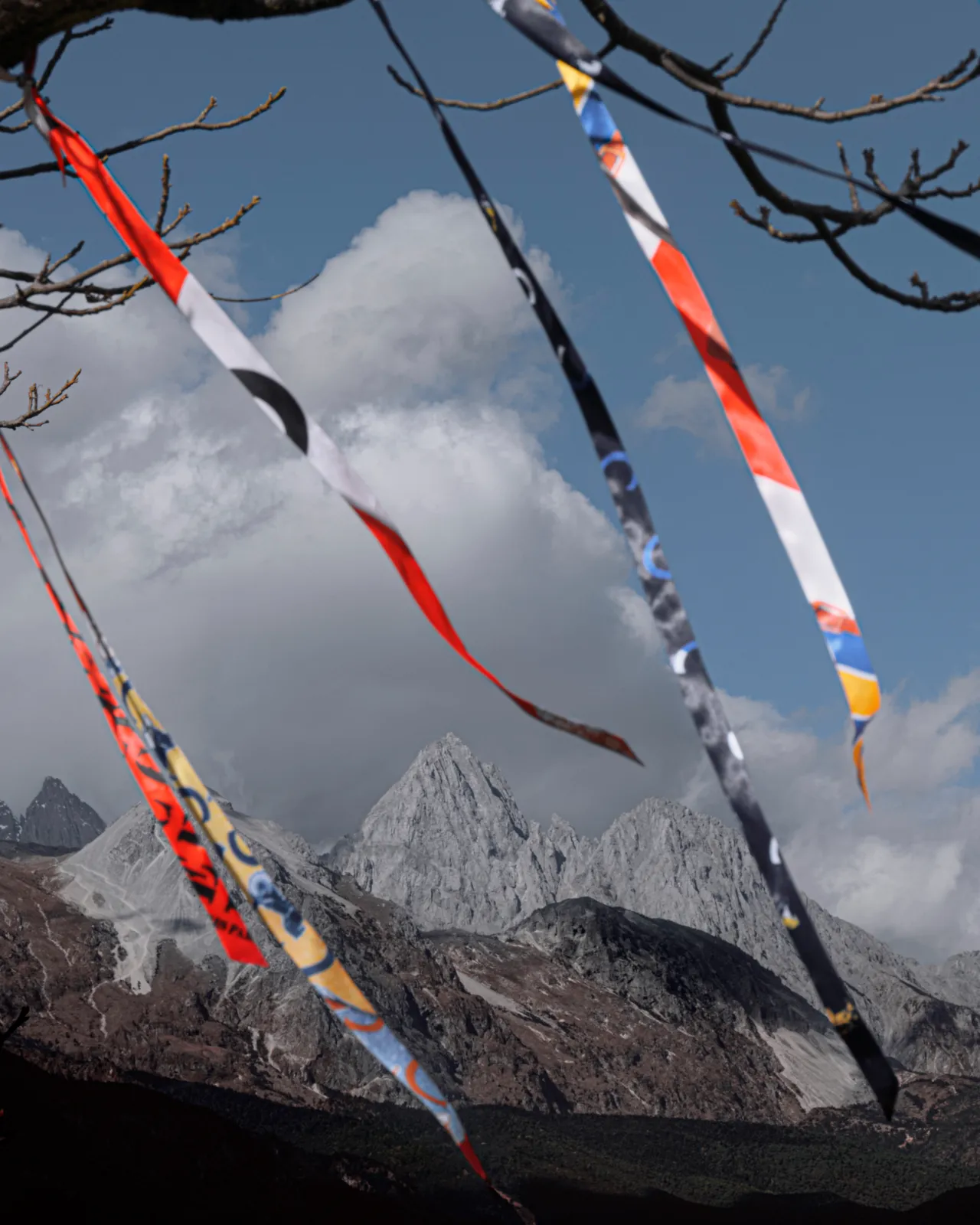 长青树上绑满CELINE丝巾和缎带。品牌提供