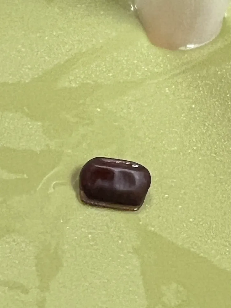 異物外觀呈現紅褐色、長方形且有紋路邊邊帶鋸齒狀，疑為蟑螂卵鞘。翻攝Threads