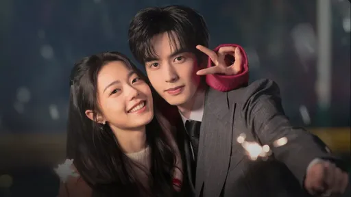 踩雷啦！陆剧《骄阳似我》出现争议「九段线」　越南Netflix下架