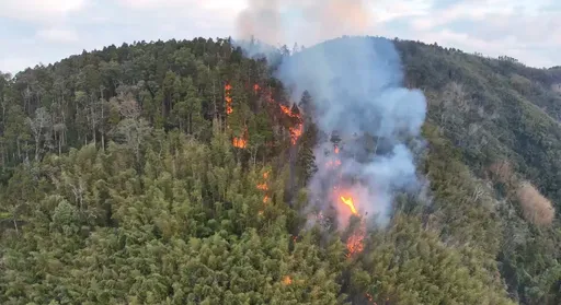 雲林古坑山林大火延燒5公頃　警消出動直升機空中灑水滅火