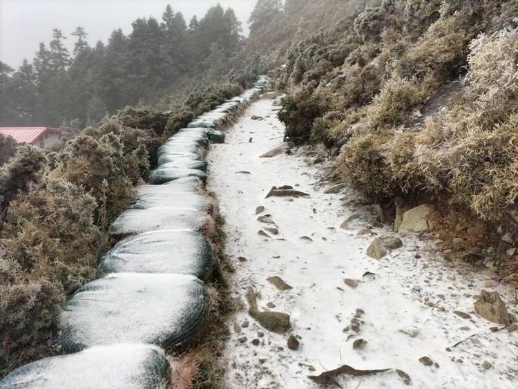 向陽山屋周邊降雪、冰霰交錯，屋舍與步道覆上白雪。中央社