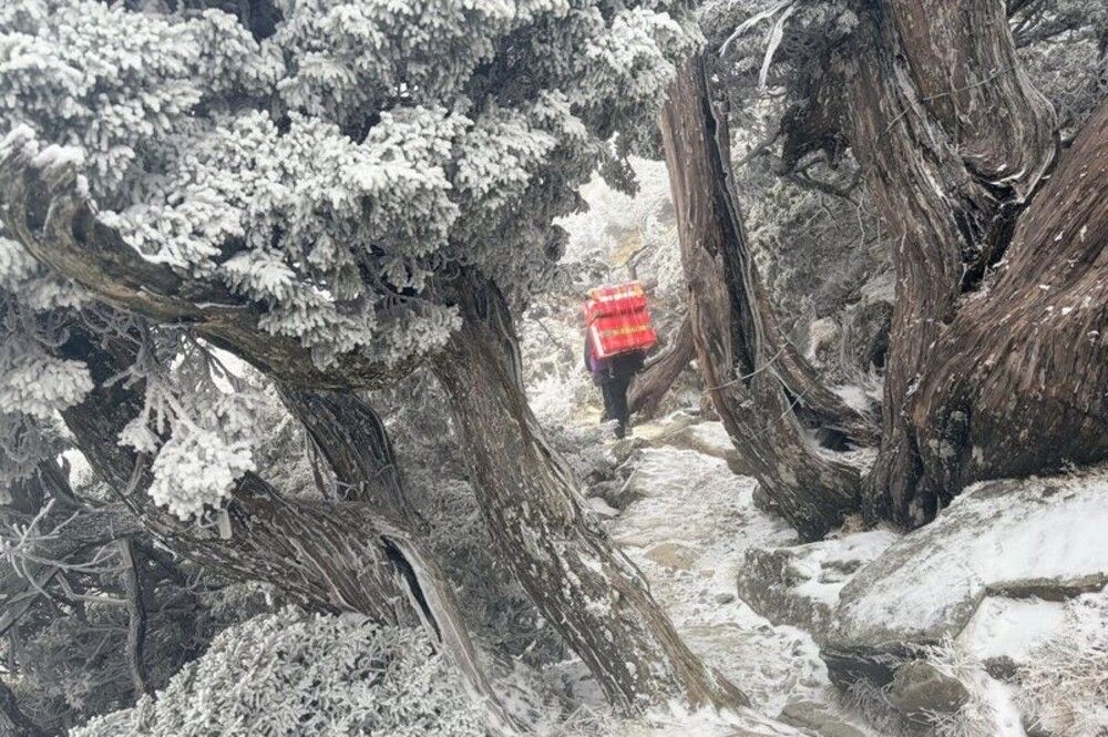 南橫大關山飄雪 嘉明湖步道鋪上白霜