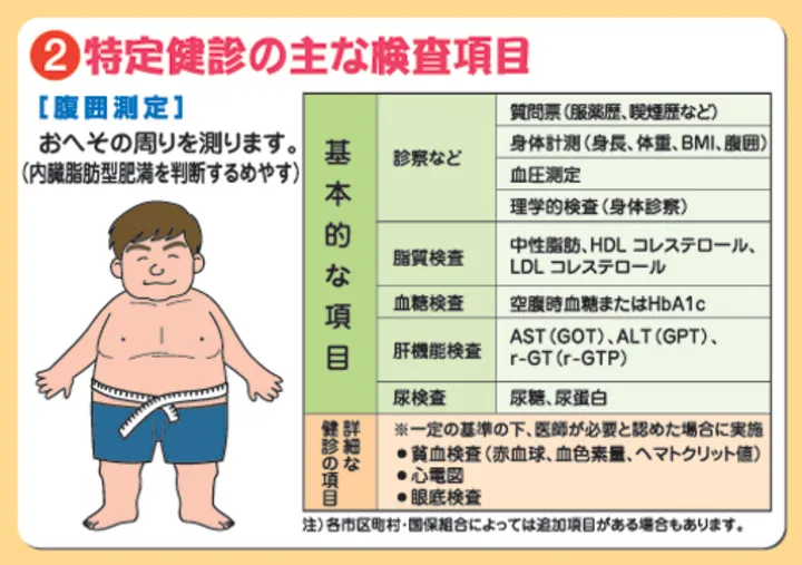 日本官方宣導「特定健康診查制度」，該制度將「腹圍測量」列為核心項目，用於判斷內臟脂肪型肥胖。翻攝神奈川縣國民健康保險團體聯合會