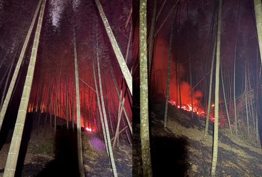 半個月內燒兩次！雲林草嶺石壁竹林大火　清晨一場大雨澆熄餘燼