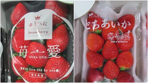 日本草莓又出包　6批农药超标全数退运