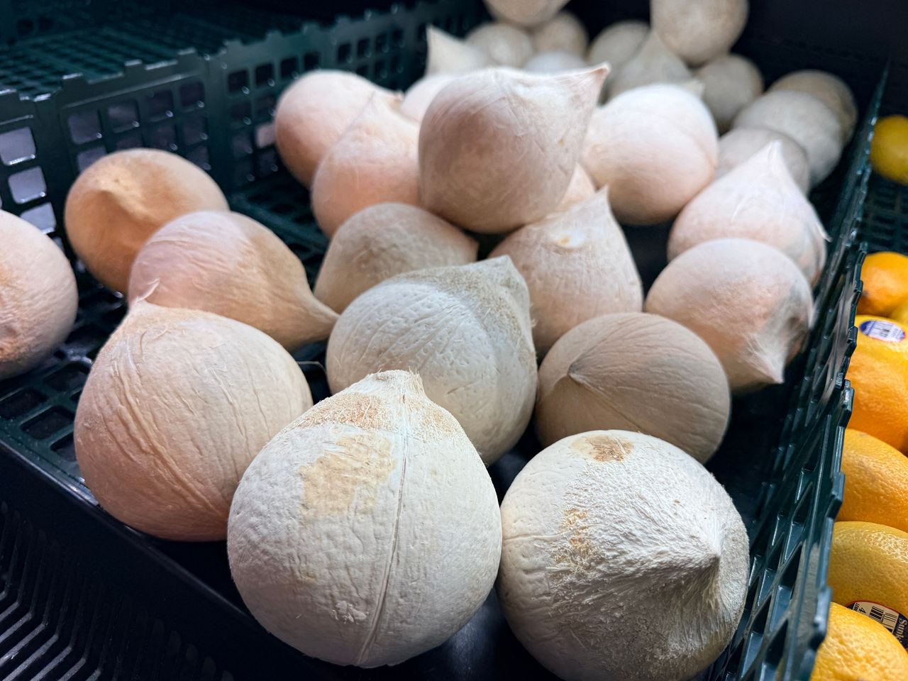 立百病毒致死率75%!豬肉、椰子汁危險別碰?醫解答必看