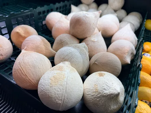 立百病毒致死率75％！豬肉、椰子汁危險別碰？醫解答必看