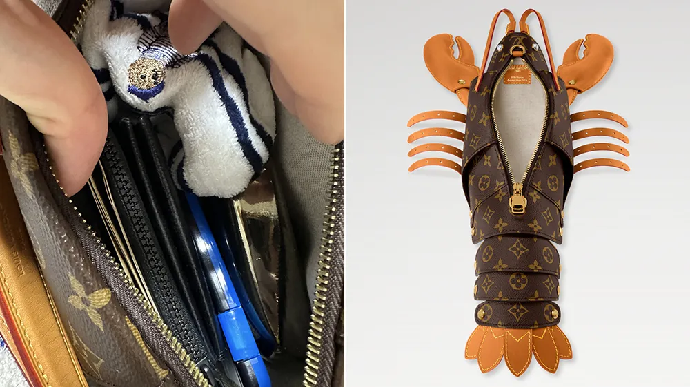 LV龍蝦包能放物品的空間有限。翻攝自aki X、LV官網