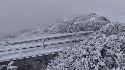 低温跌破5°C！专家点出这波冷气团「4大特征」