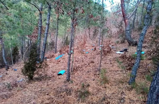 直接轰落地！北韩指控南韩无人机越界　拆机公布高清照